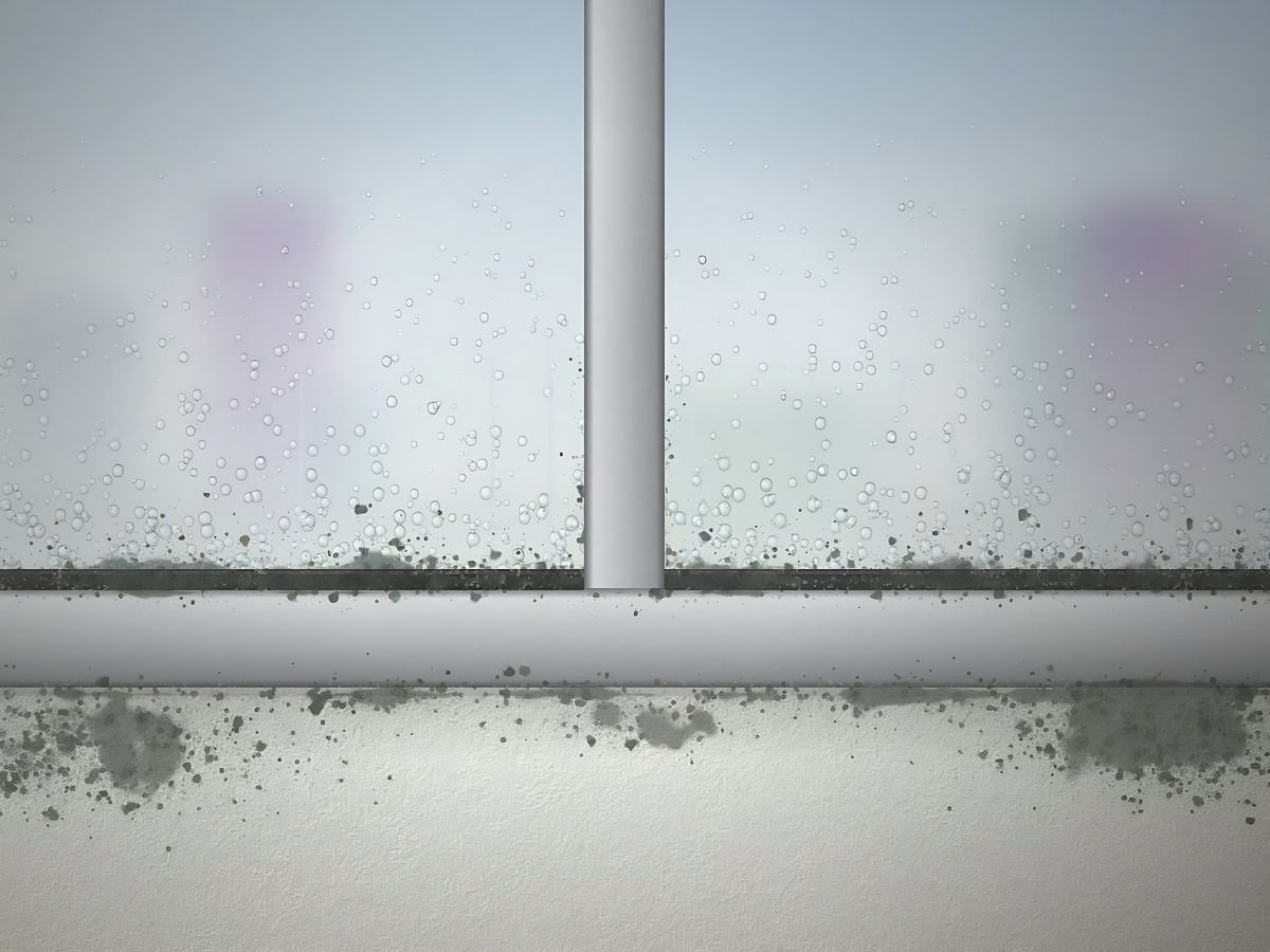 Grey mildew along the sealant of a window with condensation on the glass